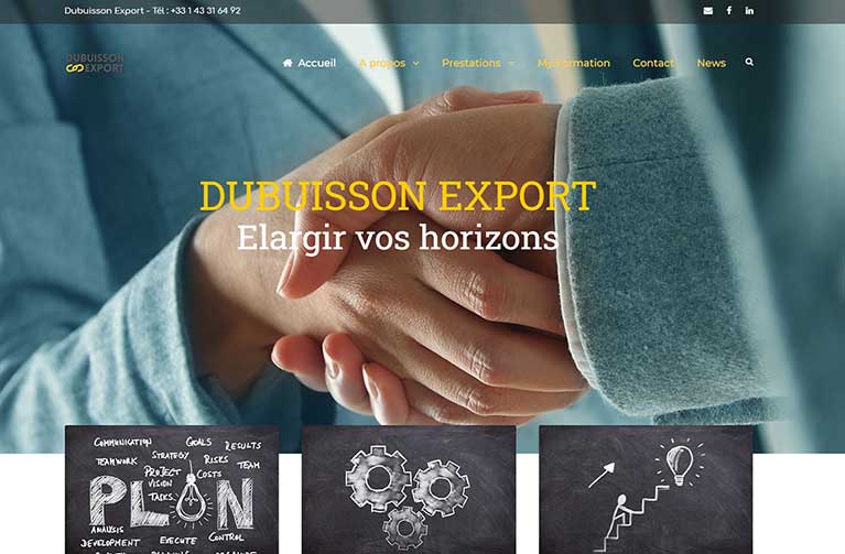Création du site Dubuisson Export
